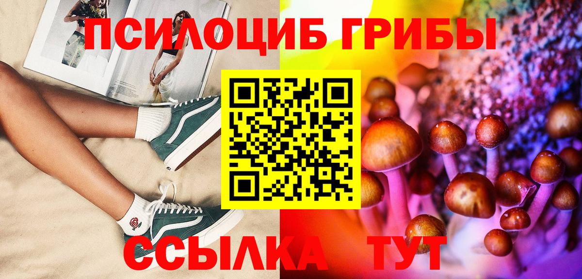 Псилоцибиновые грибы Psilocybe  Псилоцибиновые грибы GOLDEN TEACHER  Вход с VPN  закладка  Чехов 